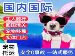 杭州航空托运国际宠物托运 【国